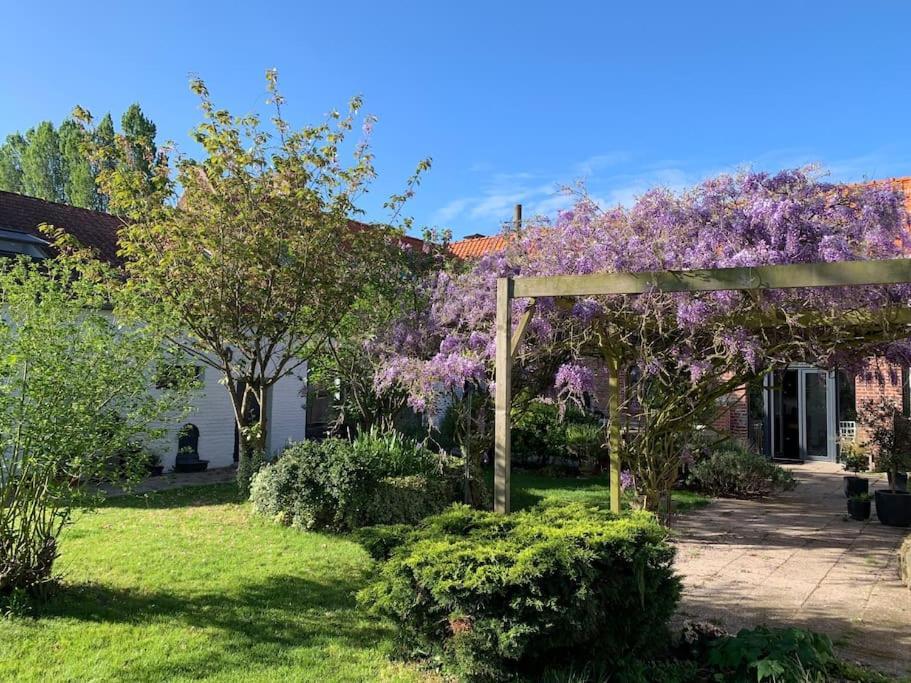 Moncheaux Ferme Renovee 300M2 La Casa Jeb : Charme, Calme Et Nature מראה חיצוני תמונה