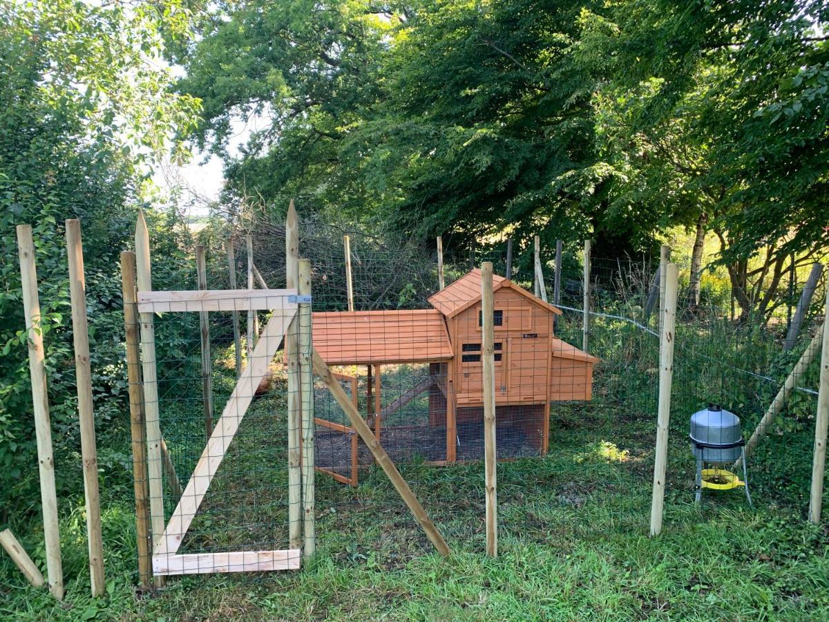 Moncheaux Ferme Renovee 300M2 La Casa Jeb : Charme, Calme Et Nature מראה חיצוני תמונה