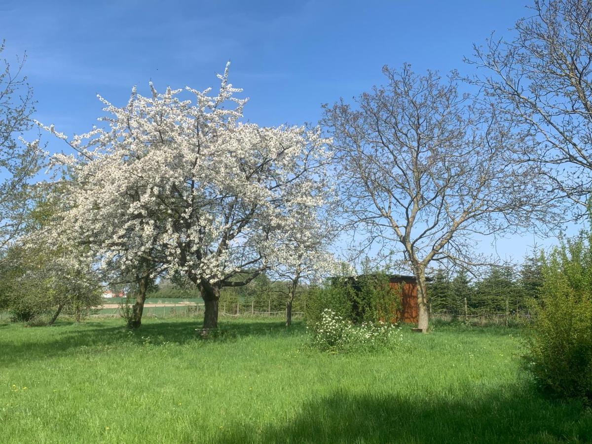 Moncheaux Ferme Renovee 300M2 La Casa Jeb : Charme, Calme Et Nature מראה חיצוני תמונה